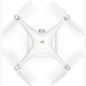 DJI Phantom 4 Pro V2.0