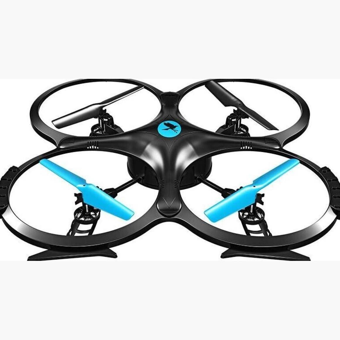 Two Dots Falcon