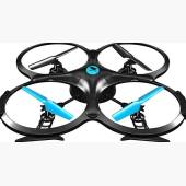 Two Dots Falcon