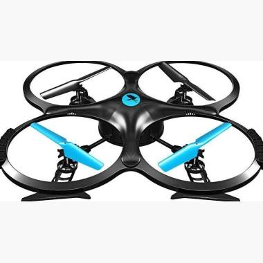 Two Dots Falcon