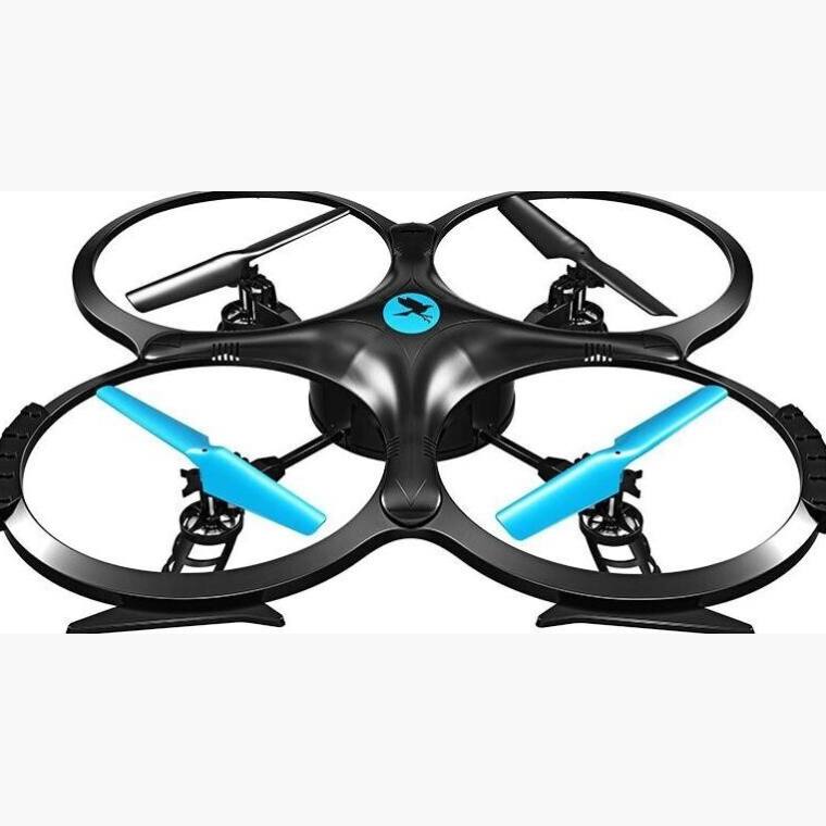 Two Dots Falcon